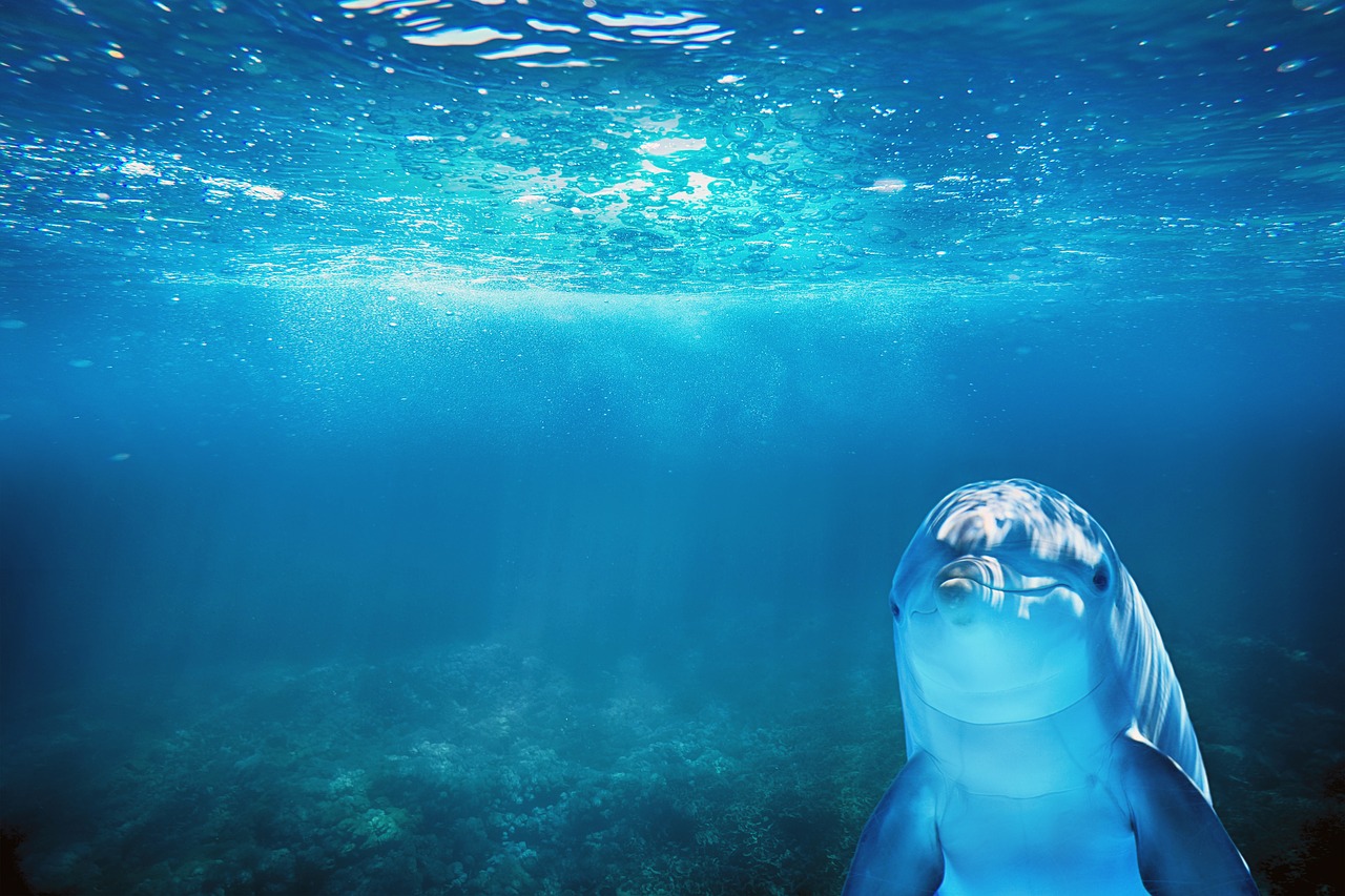 Genova, acquario e pranzo di pesce29 Ottobre 2023€ 68.0095.00 – Girod  Viaggi