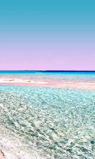 portocesareo